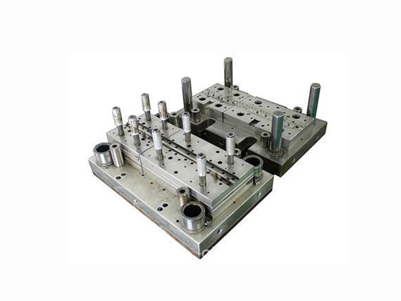 Mold -05